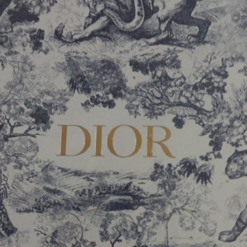 Dior Artistic Blue and White Notebook - Picture 2 of 3